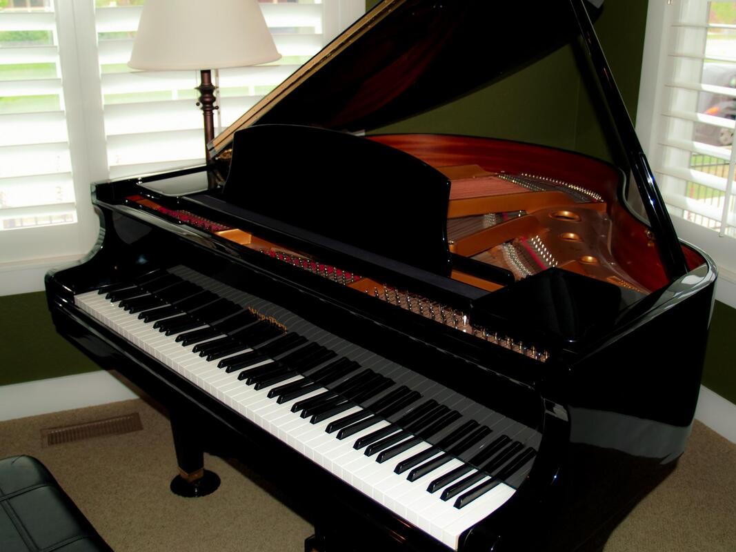 clean and shining black piano